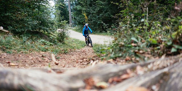 Kitzbüheler Alpen Hero Bike Patrick Ager fährt mit E Mountainbike zur Möslalm in Wörgl c Daniel Gollner