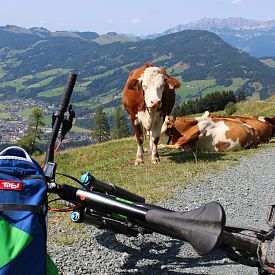 es geht auch 'gemütlich'