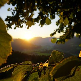 Leseempfehlung: Die 5 schönsten Herbstwanderungen