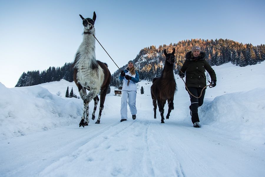 2017-01-24-Reportage-Kitzbueheler-Alpen-119