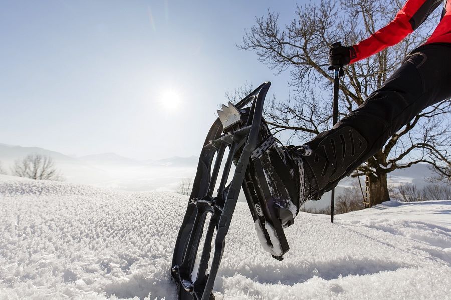 Schneeschuh Winterlandschaft