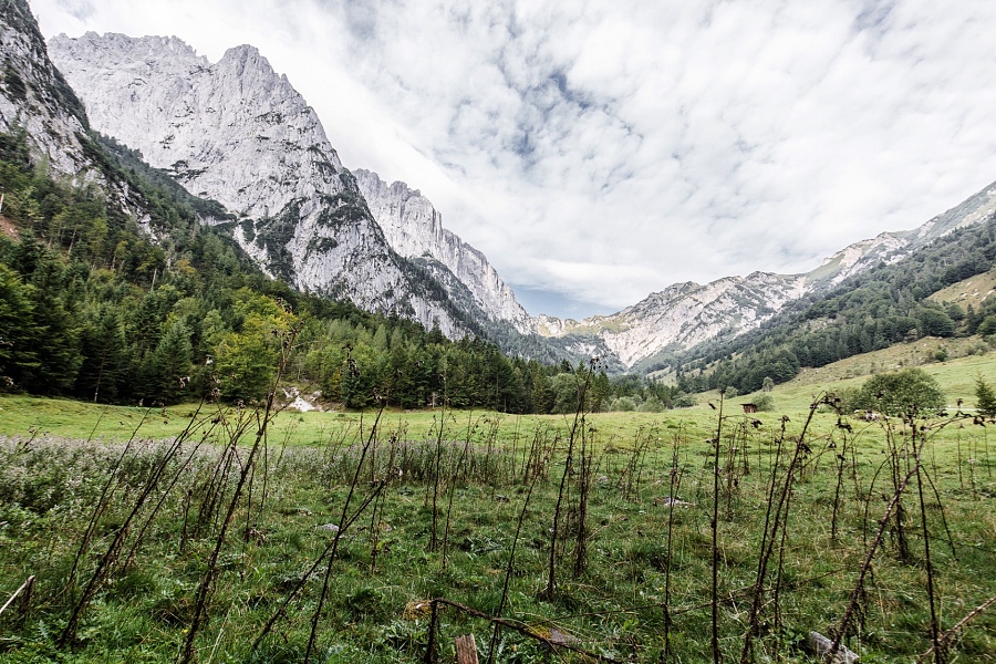 Flora und Fauna im Kaiserbachtal