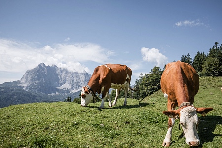 Teufelsgasse - Wanderung in Kirchdorf in Tirol