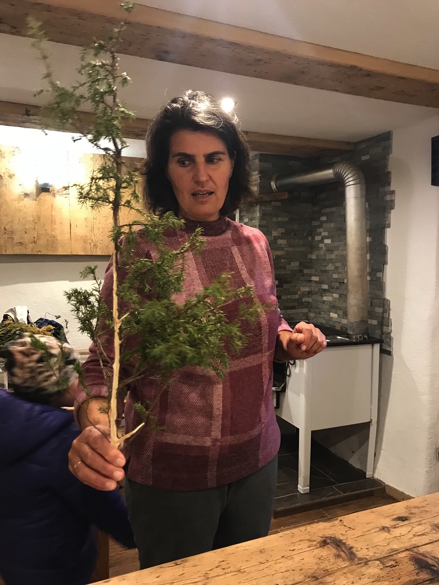 Birgit Schwaiger jeneverbes plant dampen Fieberbrunn Kitzbueheler Alpen Charlotte Mueller