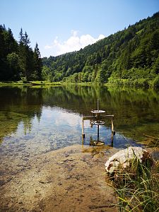 (c) Marion Pichler Wiesensee