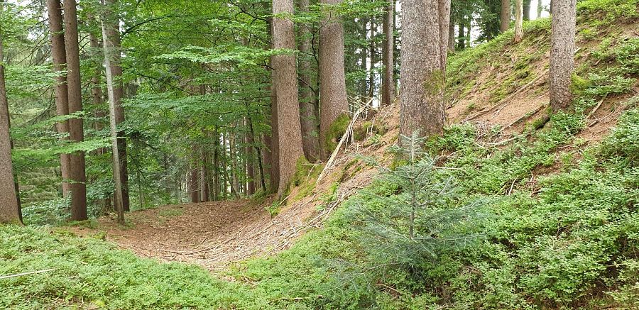 Die Velbenburg bei St. Johann in Tirol
