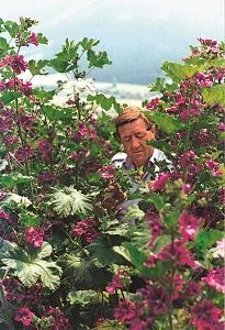 Hans bei der Arbeit mitten in seinen Kräutern. © Kräuterschaugarten Obertreichl