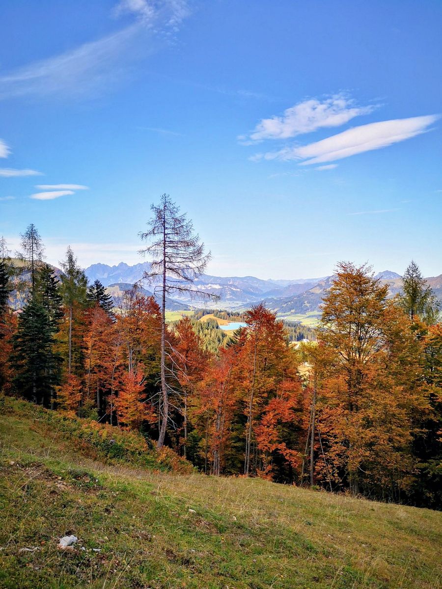Der Herbst zieht ins Land (c) Marion Pichler
