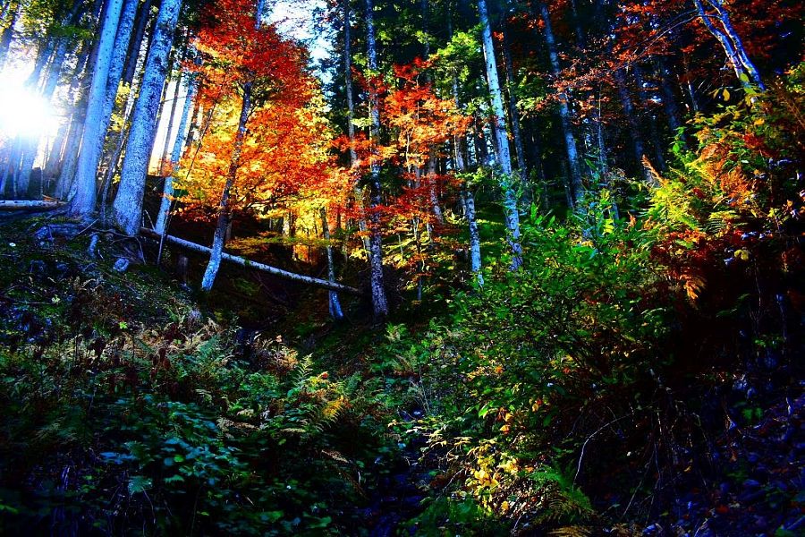Spiel der Farben