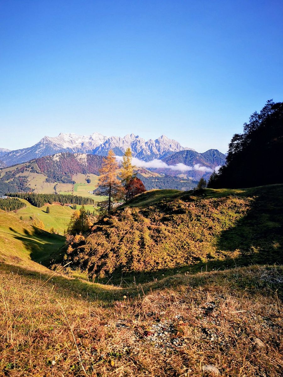 Herbst im Pillerseetal (c) Marion Pichler