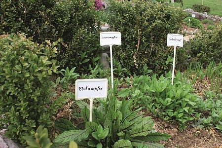 Im Kräutergarten ist so gut wie jede Pflanze beschriftet. © Bei ins dahoam