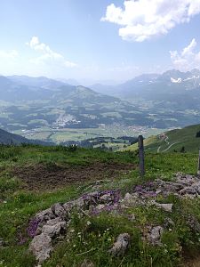 KAT-Walk-Kitzbüheler-Alpen-AlpinEtappe5-Ausblick-Wilder-Kaiser-vom-Kitzbüheler-Horn-c-Ann-Kathrin-Graser