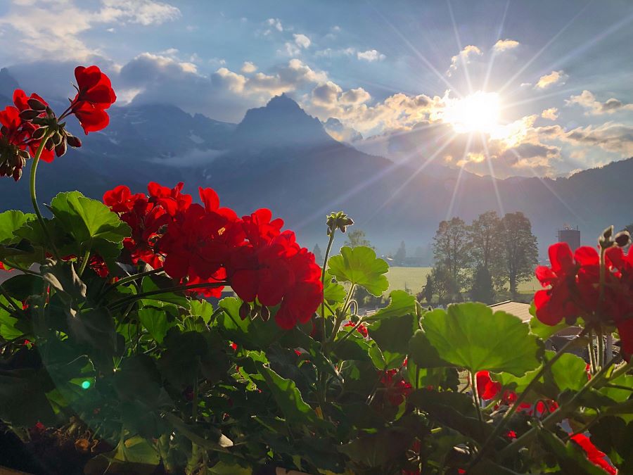 Kitzbüheler Alpen-Auf dem WAIWI-Morgenstimmung