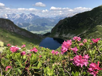 Abendstimmung am Wildseelodersee (c) Björn Ahrndt