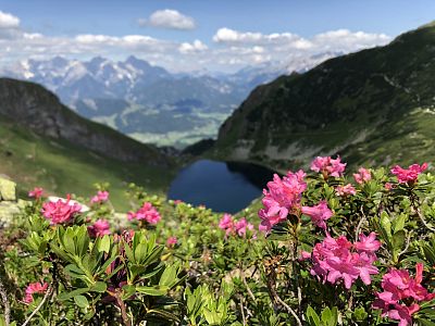Blick auf den Wildseelodersee (c) Björn Arndt
