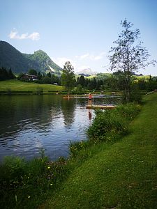 Lauchsee