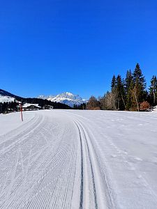 Blick zum Spielberg (c) Marion Pichler