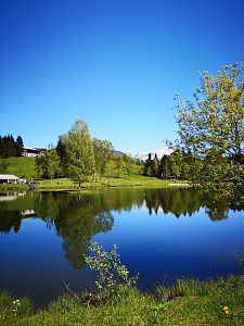 Wunderschöner Lauchsee in Fieberbrunn
