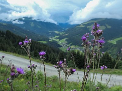 MTB Babsi KAT Bike Sport+ Tour (26)