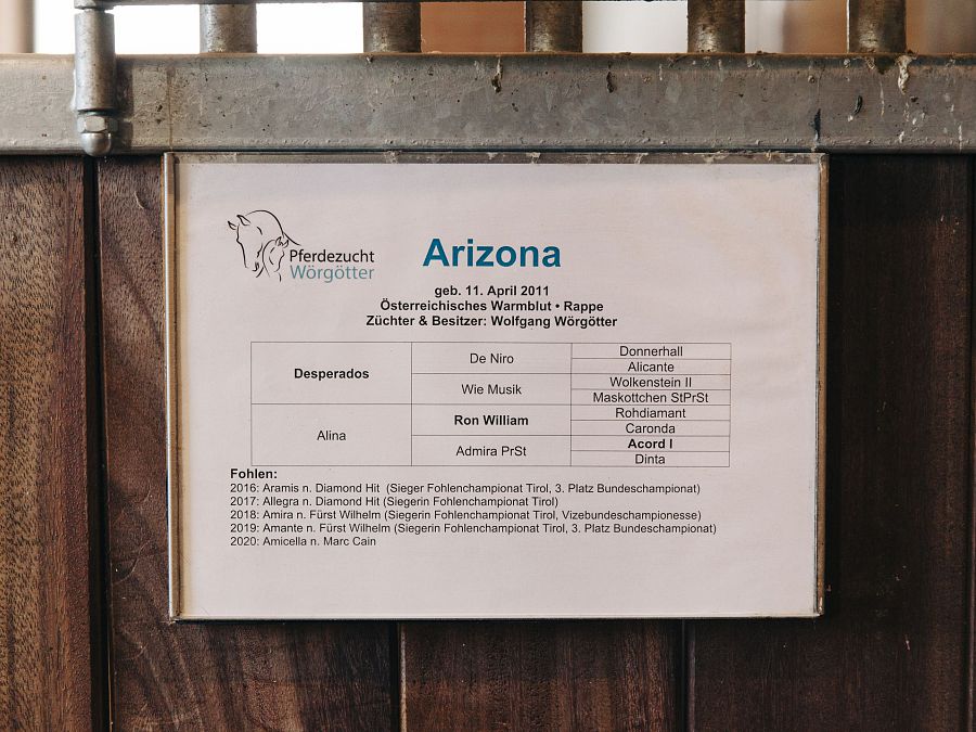 Dank Stute Arizona erblickten bereits einige erfolgreiche Fohlen im Wörgötter-Stall das Licht der Welt.