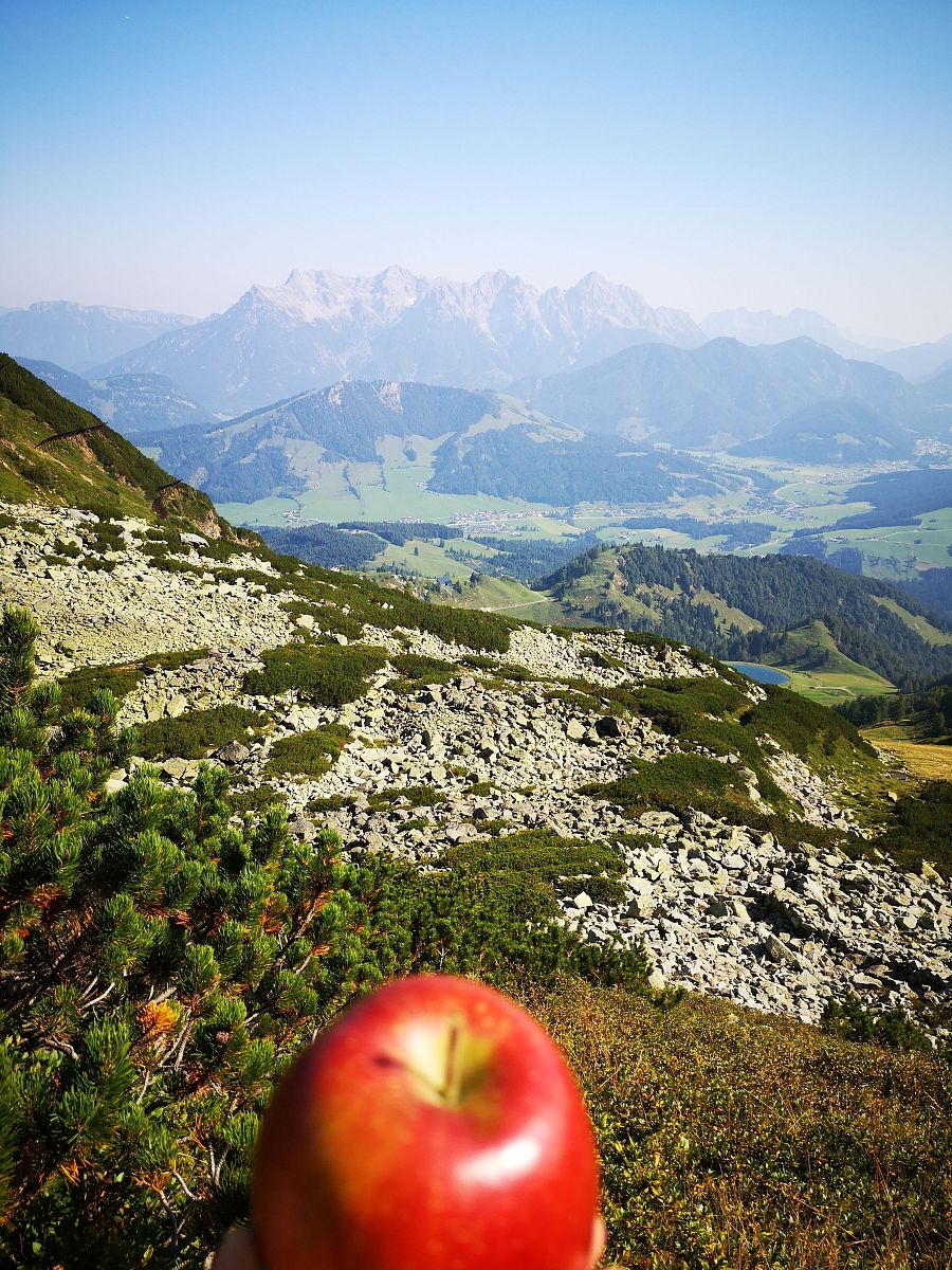Rast mit Ausblick