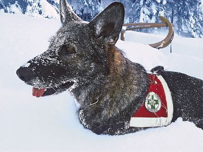 Wera im Schnee@Stefan Fuchs