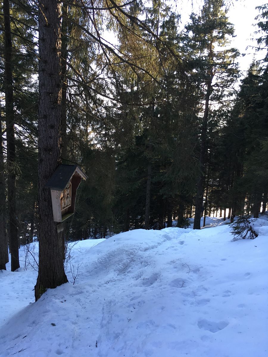Winterwandern in St. Johann in Tirol