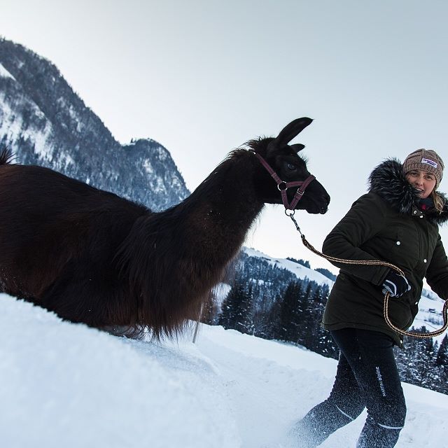 2017-01-24-Reportage-Kitzbueheler-Alpen-124