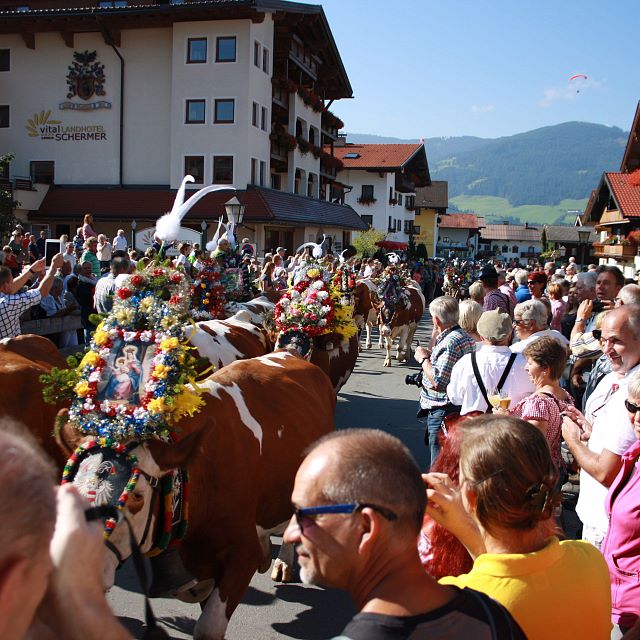 Almabtrieb - Kitzbüheler Alpen_Brixental22