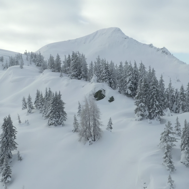 Ausblick auf das Brechhorn