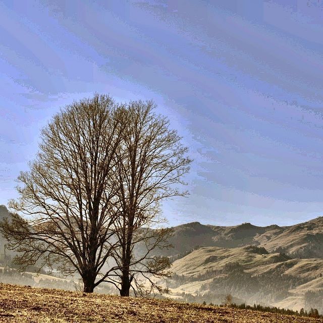 Herbst im PillerseeTal (c) Marion Pichler