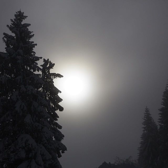 jaeger_im_schnee2
