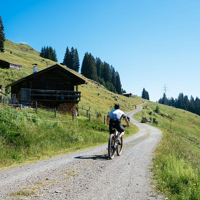 Kitzbüheler Alpen levenswegen 2023 Arti