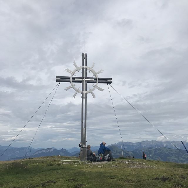 Bosbessen in de vakantieregio Hohe Salve