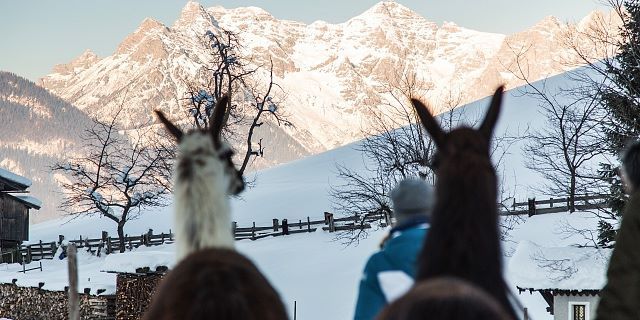 2017-01-24-Reportage-Kitzbueheler-Alpen-116