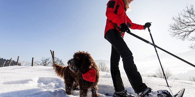 Winterspaß Schneeschuhwanderung