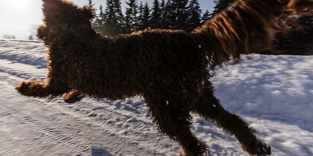 Spaß in der Winterlandschaft