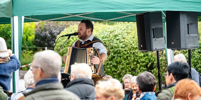 Almabtrieb in der Region Hohe Salve