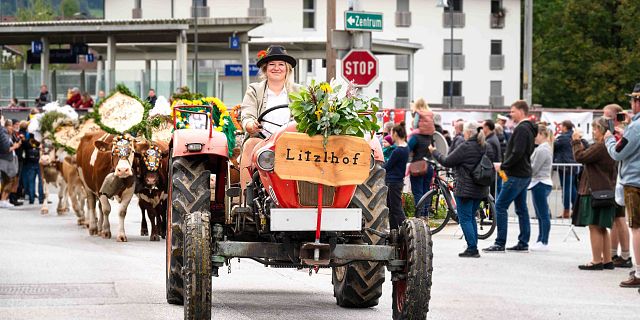 Almabtrieb in Hopfgarten im Brixental