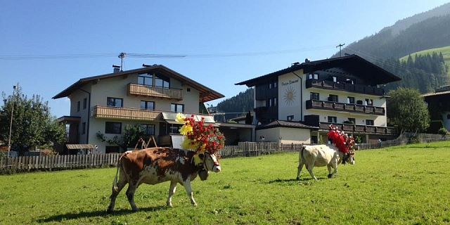 Almabtrieb - Kitzbüheler Alpen_Brixental03