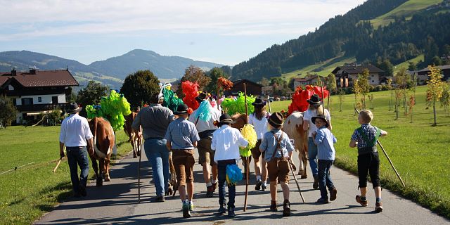 Almabtrieb - Kitzbüheler Alpen_Brixental14