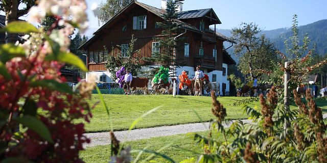 Almabtrieb - Kitzbüheler Alpen_Brixental19