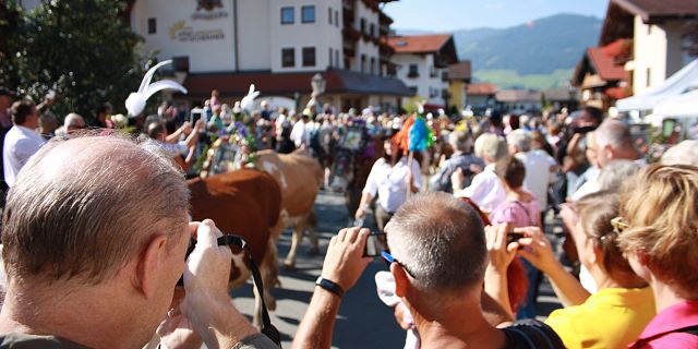 Almabtrieb - Kitzbüheler Alpen_Brixental21