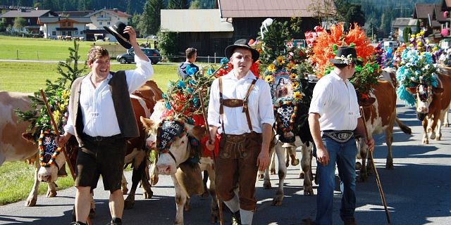 Bauern beim Almabtrieb