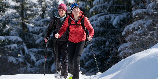 Bergwelten-Wildfütterung