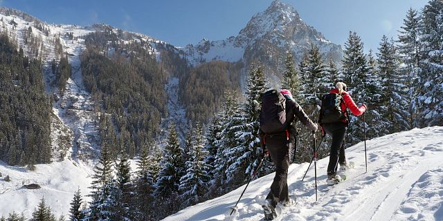 Bergwelten-Wildfütterung