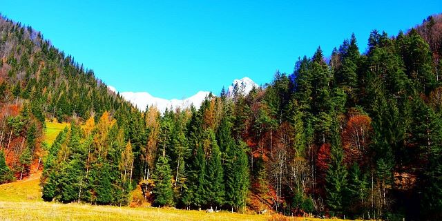 Blick auf die Loferer Steinberge im Herbst