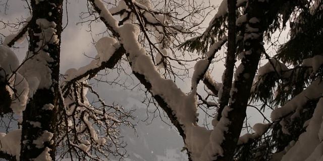 Foto 12.09.19, 11 22 40