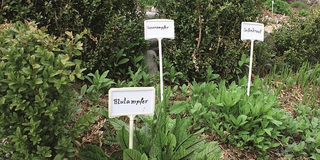 Im Kräutergarten ist so gut wie jede Pflanze beschriftet. © Bei ins dahoam