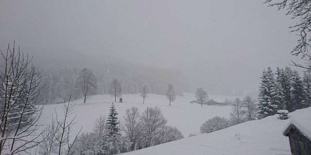 Skifahren in Kirchdorf in Tirol
